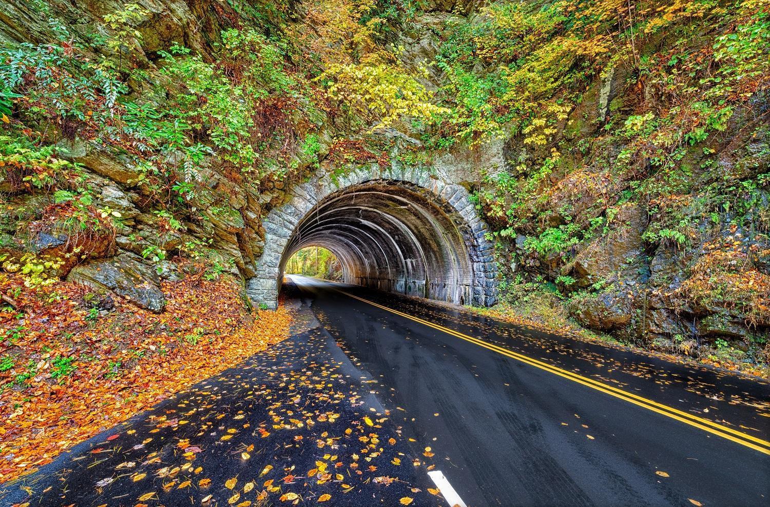 Bear Den, Hot Tub, 1089 Of Free Attraction Tickets For Each Paid Day, Dollywood And More! Sevierville Buitenkant foto